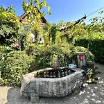 Schwarzwald Martini 아파트 *