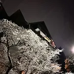 아파트 Schwarzwald Martini 사스바흐발덴