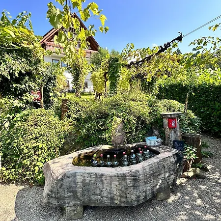 Schwarzwald Martini Apartment *