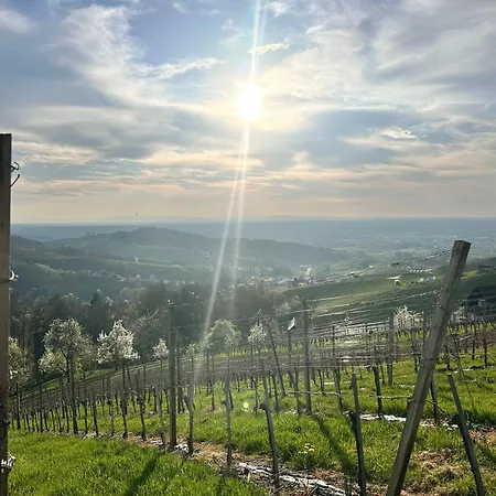 Schwarzwald Martini *