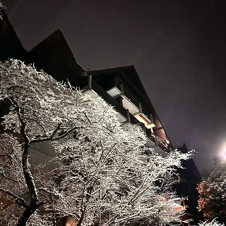 Apartment Schwarzwald Martini Sasbachwalden