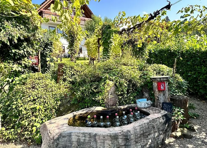 Schwarzwald Martini Apartment *