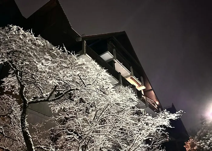 Apartment Schwarzwald Martini Sasbachwalden